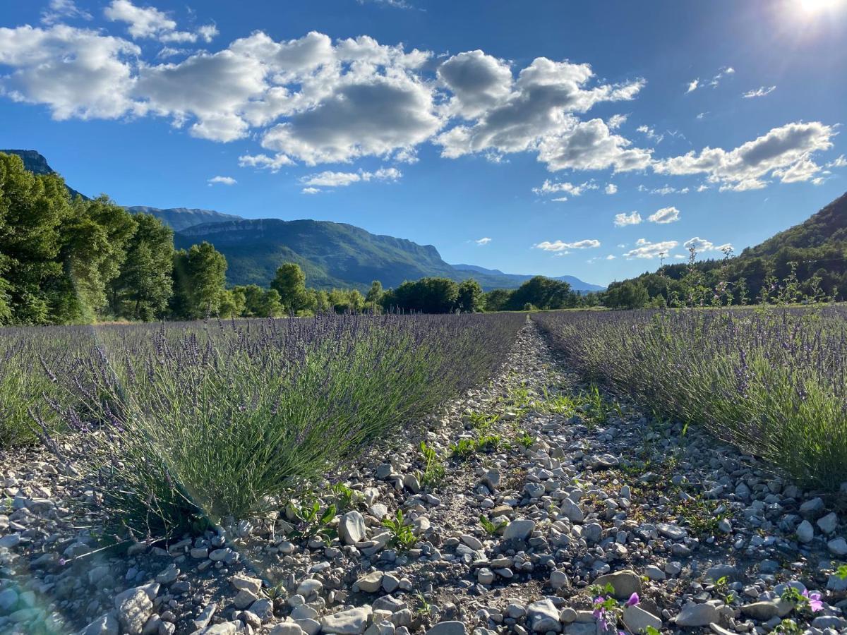 Gite En Haute Provence Montfroc Exteriér fotografie